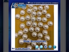 shoe accessories